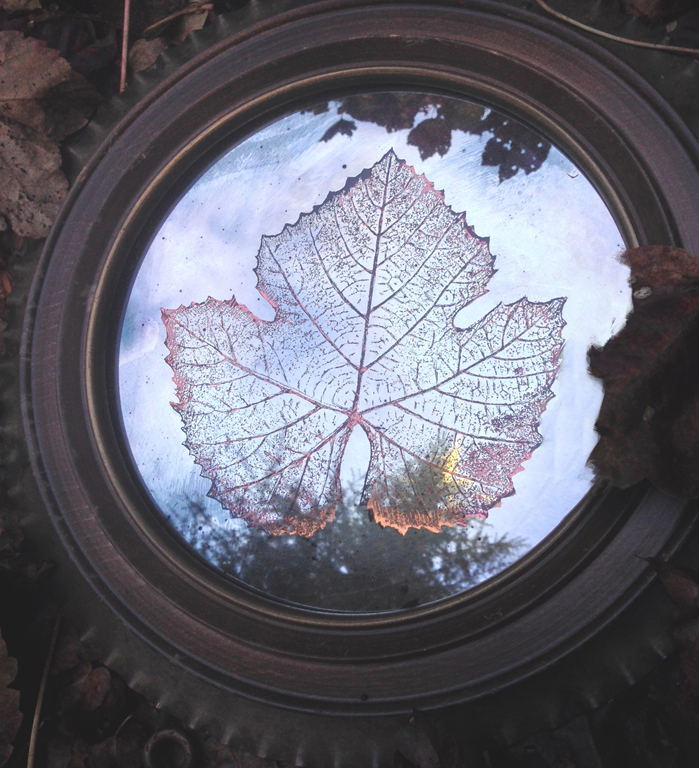 Artwork in which silveris used as a color in a botanically inspired piece